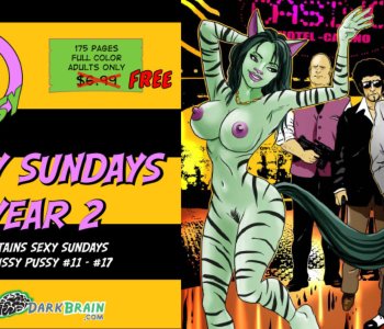 Sexy Sundays Porn Comics